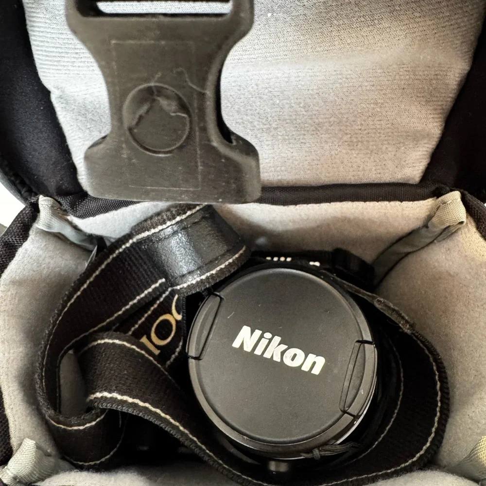 NIKON P100
